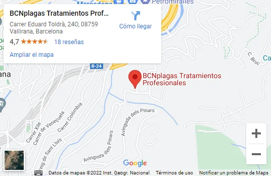 Maps BCNplagas Home