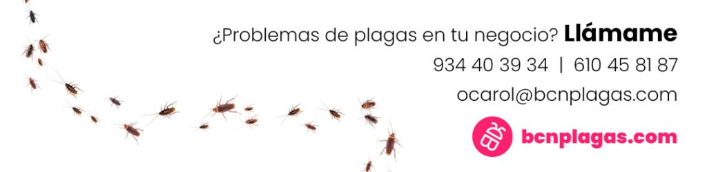 cabecera Home