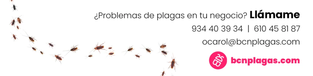 cabecera BCN Plagas - Control de plagas en Barcelona