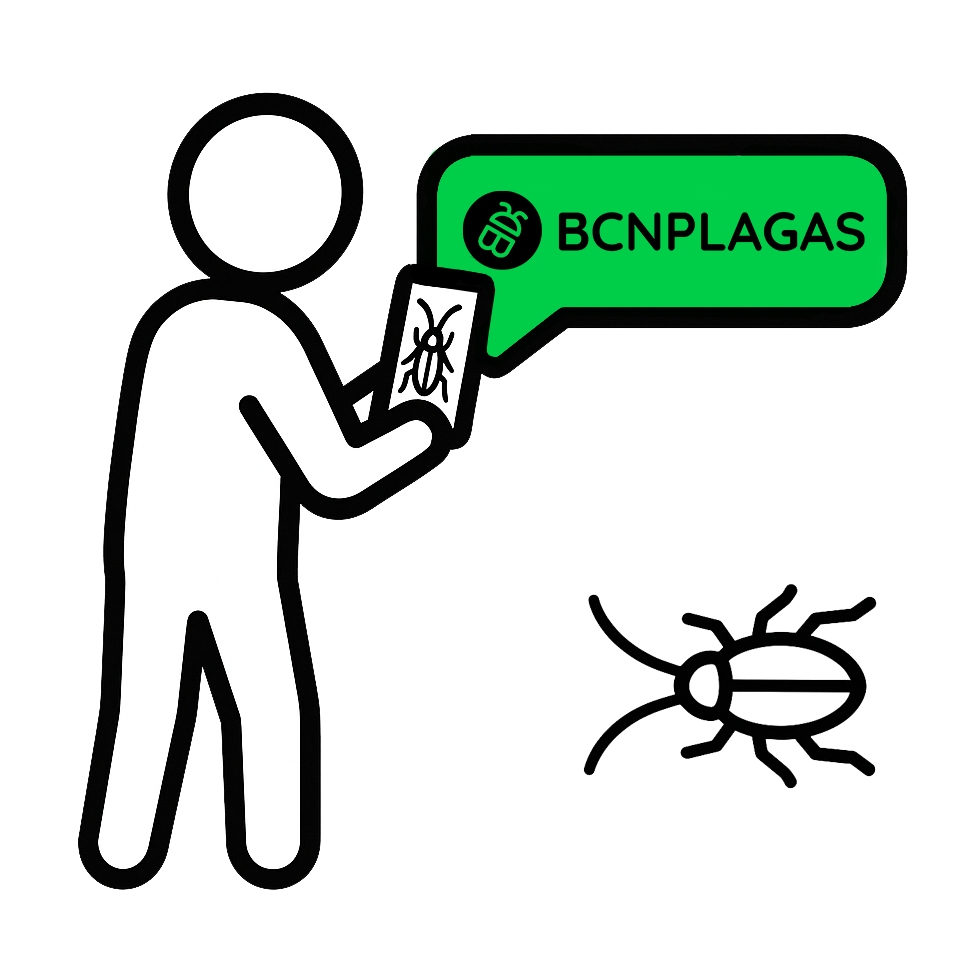 contacto control de plagas paso 3