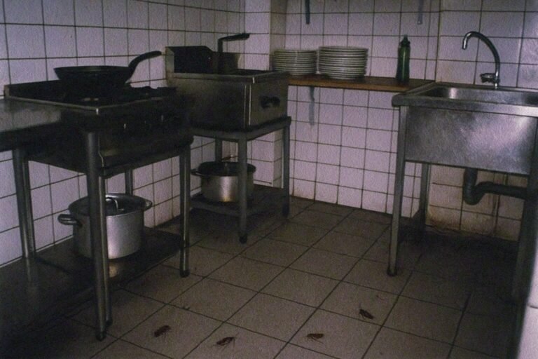 cucarachas cocina restaurante Cucarachas en la cocina: como eliminarlas en 5 pasos.