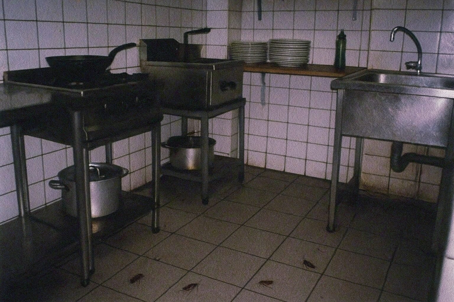 cucarachas en restaurante