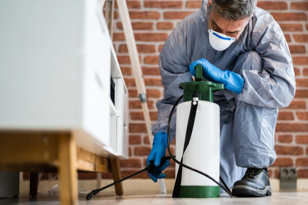 Fumigación de cucarachas profesional 2 Fumigación de cucarachas profesional