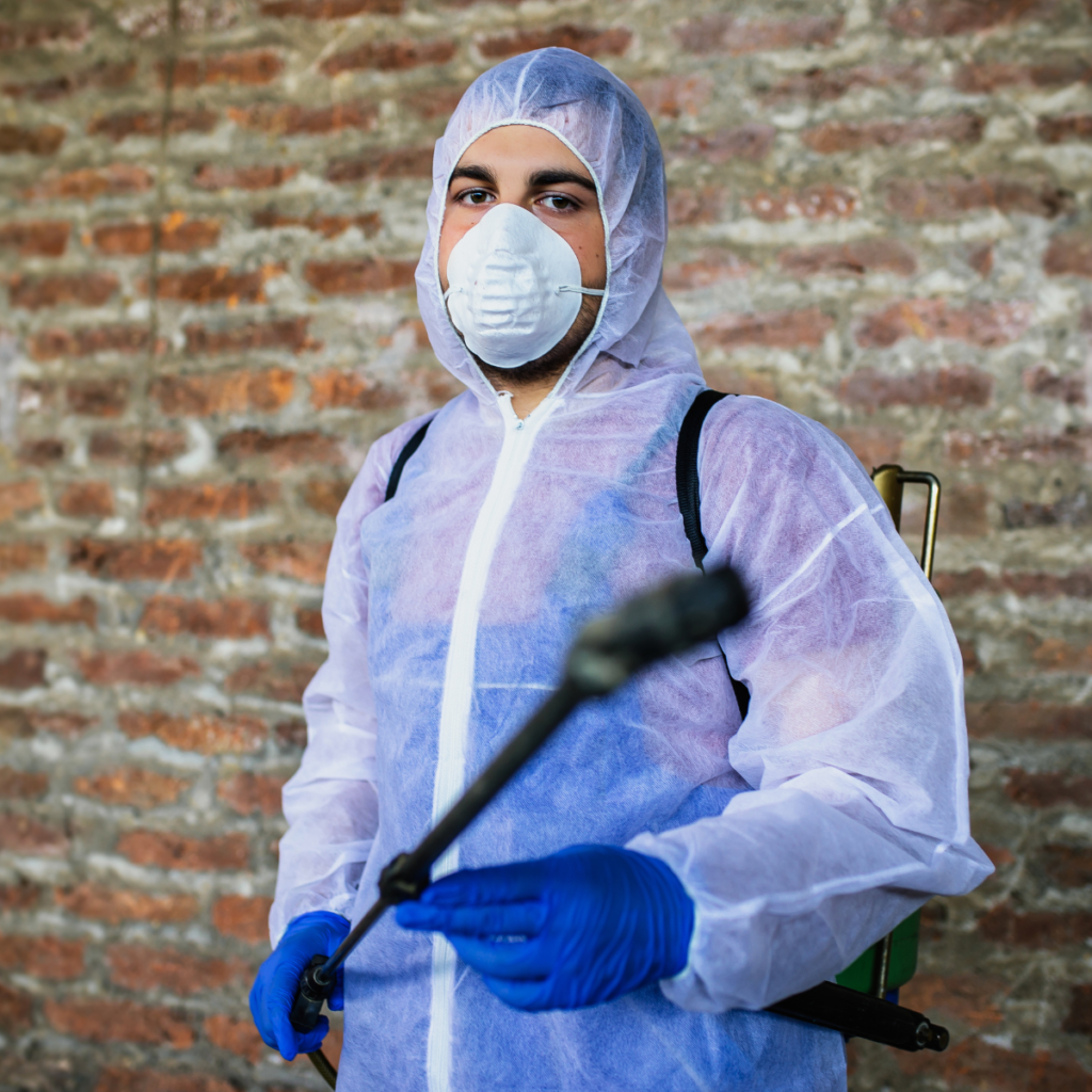 Desinfección de ratones