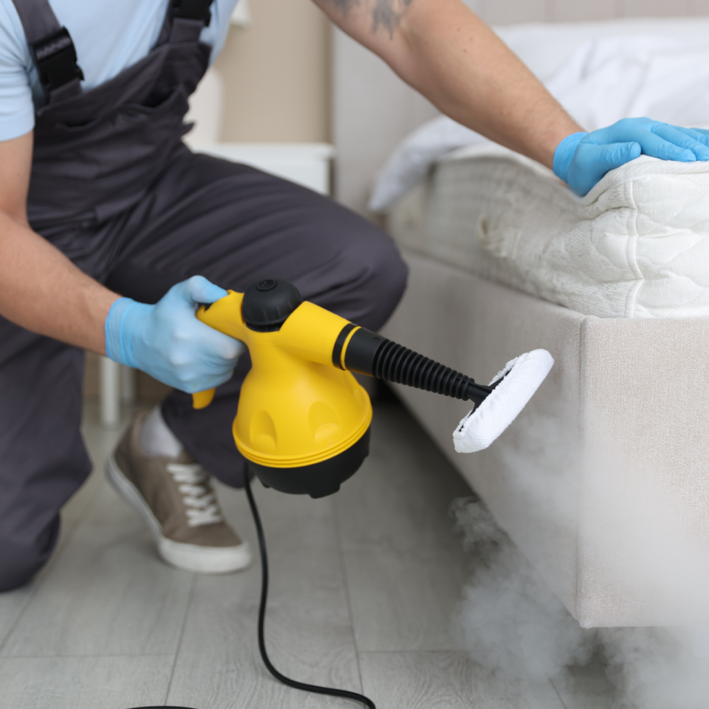 Eliminar chinches barcelona