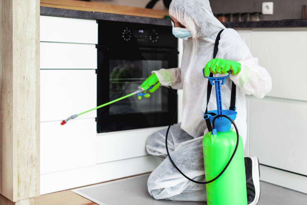 Exterminador termitas